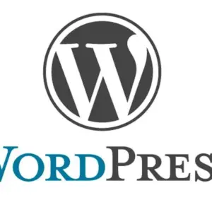 WordPress Website Setup