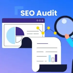 Basic SEO Audit